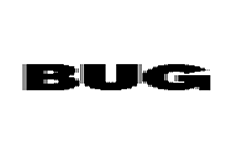 Bug